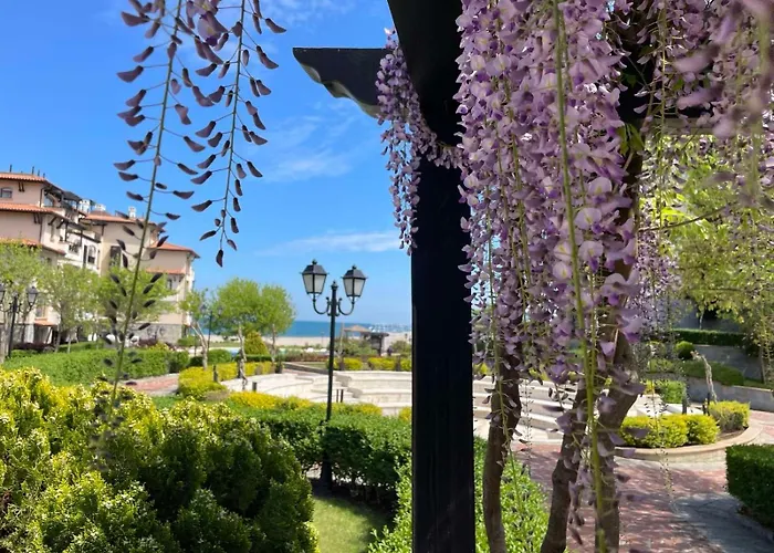 Zen - Oasis Club * Lozeneț